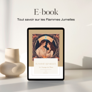 ebook pdf flammes jumelles