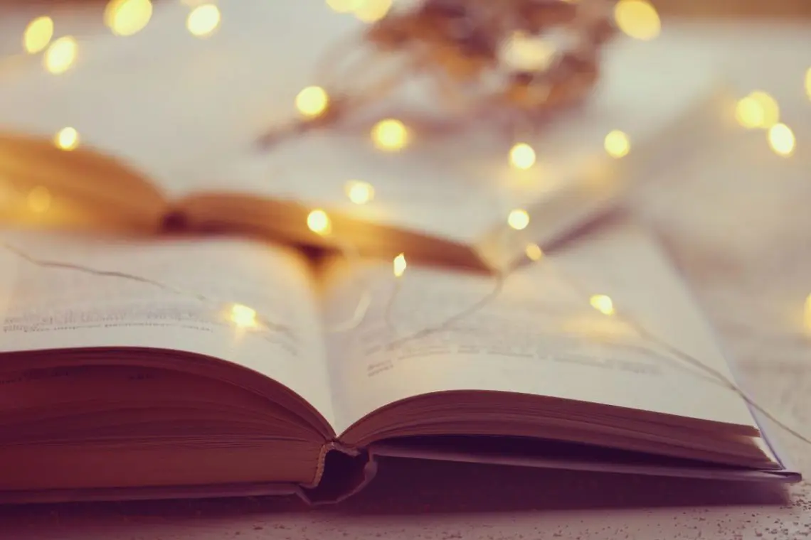 livre-developpement-personnel-noel