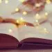 livre-developpement-personnel-noel