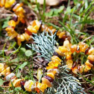collier-ambre