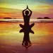 dharma-flow