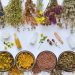 plantes-adaptogenes
