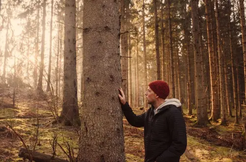 dialogue-avec-les-arbres